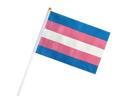 Flags with handle Transgender (10 pieces)