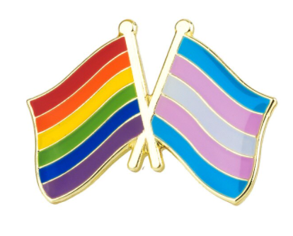 Pin Fahne Regenbogen Transgender