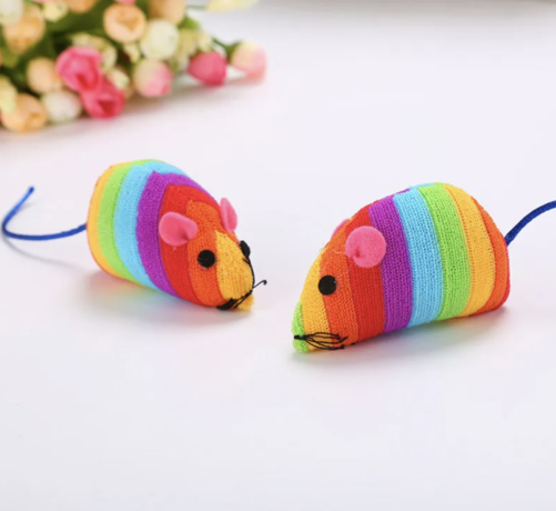 Cool rainbow mouse