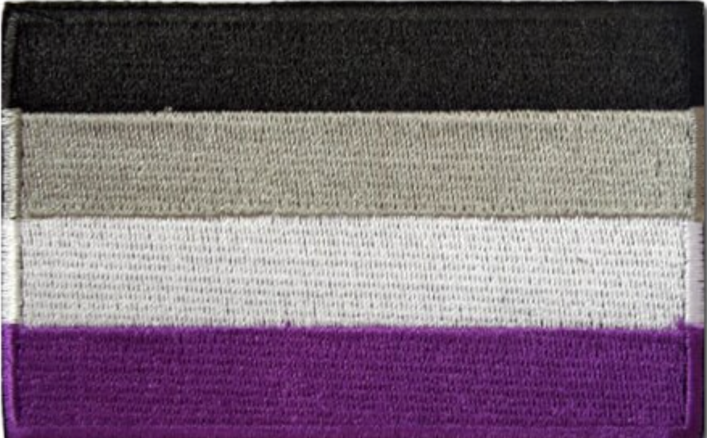 Klett Patch Asexuell - Klettaufnäher gestickt